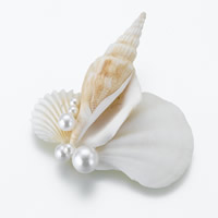 Seashell Boutonierre