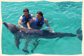 Swimming with dolphins - St. Thomas Virgin Islands