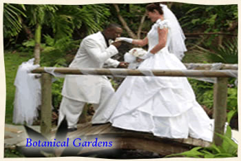 Botanical Gardens St Thomas Wedding