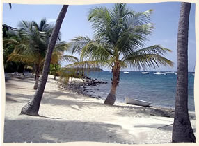 Elysian Beach Wedding St. Thomas Virgin Islands