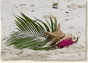 palm fronds, star fish and palm fronds for island wedding St. Thomas.