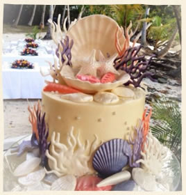 Coral & Lavendar Shells & Sea Fans in St. Thomas Cake