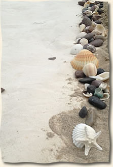ocean rock and sea shell ailse for weddings in the Virgin Islands