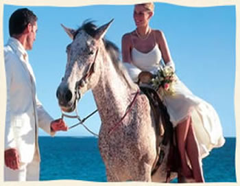 Bride on horseback at Linquist Beach St. Thomas USVI