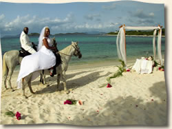 Bride and groom riding off after their beach wedding, St. Thomas Virgin Islands