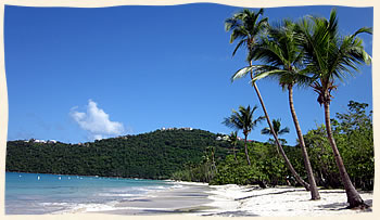 Getting married at Magens Beach St Thomas US Virgin Islands Palm Trees