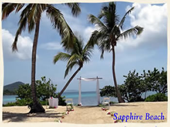 Sapphire Beach wedding St Thomas Virgin Islands Palmtrees bamboo arch